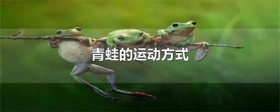 ​青蛙的运动方式