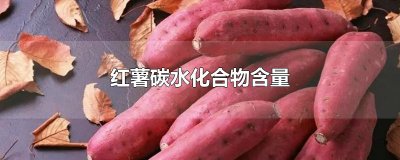 ​红薯碳水化合物含量