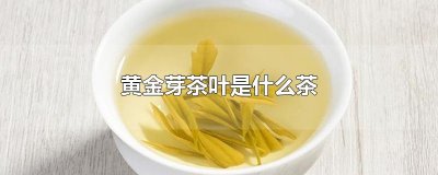 ​黄金芽茶叶是什么茶