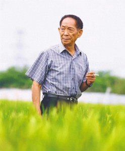 ​袁隆平是我国水稻致富研究者