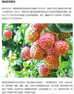 ​玉带林中挂，关系林黛玉的死，但不是上吊