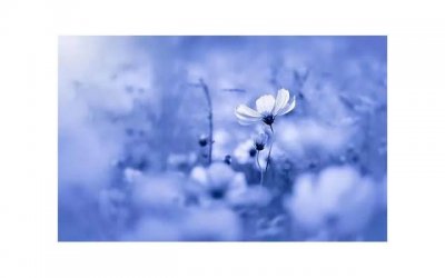 ​女性在怀孕多久后才可以做人流手术 人流手术对女性有什么伤害