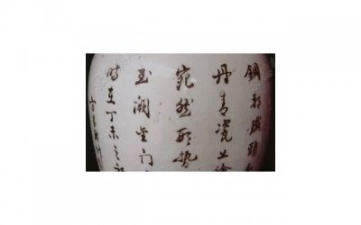 ​狮子女和金牛男的爱情（狮子女与金牛男的相处）