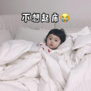 ​不想起床表情包合集