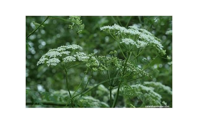 保时捷最便宜的车（最便宜的保时捷跑车曝光）