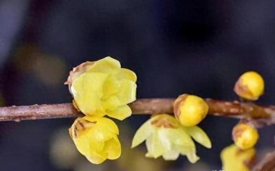 ​浙江母女俩爱上同一个男人，还同时怀孕，惹出惨剧…