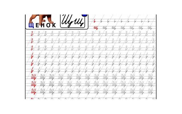 哪些原因导致孕妇流产