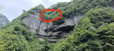 ​爬山去“溪降”，悬崖摔伤“索降”