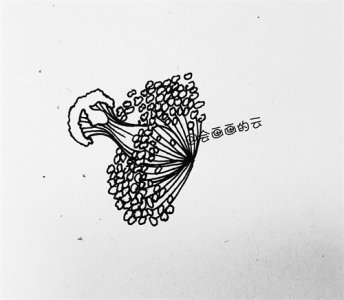 ​零基础如何画画，手把手教你画一朵花，一支笔就可以哦