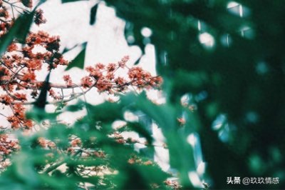 ​农历二月初八