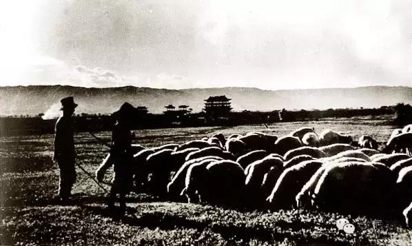 太原古县城了解太原历史(太原老街旧话之二)(9)