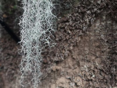 ​老人须怎么养