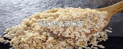 ​三色糙米饭可以蒸熟吗 三色糙米蒸米饭需要加白米吗