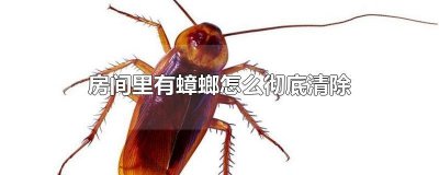 ​房间里有蟑螂怎么彻底清除 房间里有蟑螂怎么彻底清除家里有宝宝