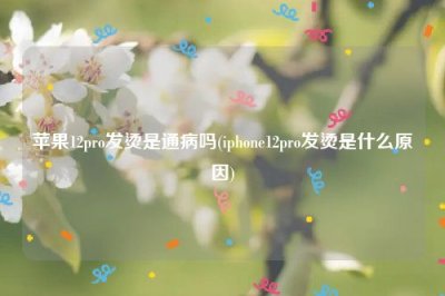 ​苹果12pro发烫是通病吗(iphone12pro发烫是什么原因)