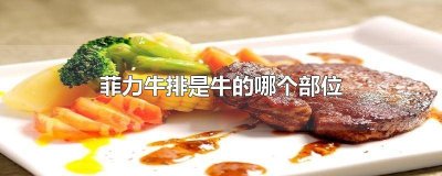 ​菲力牛排用的是牛的哪个部位 菲力牛排是什么部位