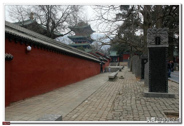 禅宗少林寺（禅宗祖庭）(17)