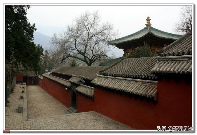 禅宗少林寺（禅宗祖庭）(14)