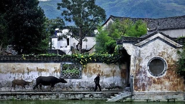 江浙沪地区，十一最适合去哪里玩最好是江浙沪地区？图8