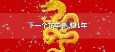 ​下一个龙年是哪几年（接下来哪一年是龙年）