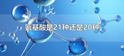​氨基酸是21种还是20种（人体内氨基酸是21种还是20种）