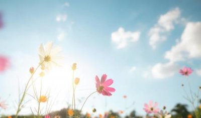 ​烤吐司机脏了可以清洗吗？烤吐司机还能烤什么食物