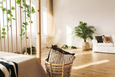 ​花谢后掐个枝，扔土里就活，再便宜也别买！