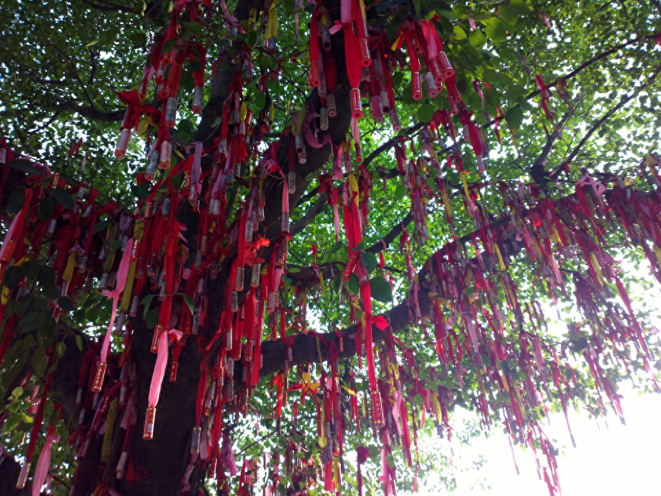 实拍佛山南海观音寺，距今已有一千年历史，南海区最大的佛门圣地