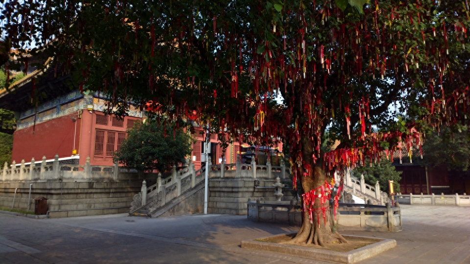 实拍佛山南海观音寺，距今已有一千年历史，南海区最大的佛门圣地