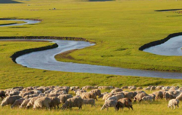 荷月是几月?为什么被称为荷月（荷花盛开的月份）