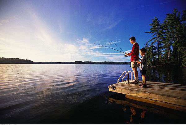 荷月是几月?为什么被称为荷月（荷花盛开的月份）