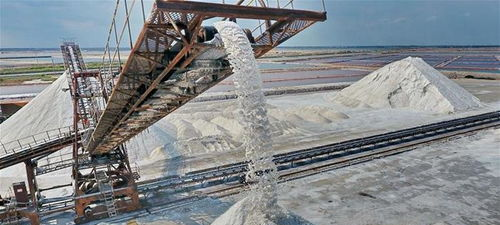 海水污染盐受影响,日本核电站污染海洋图5