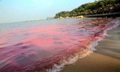 ​海水污染盐受影响,日本核电站污染海洋