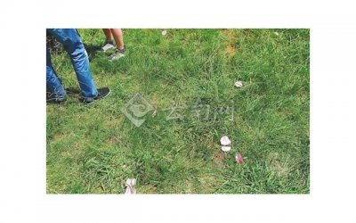 ​让女生快速爱上你的方法