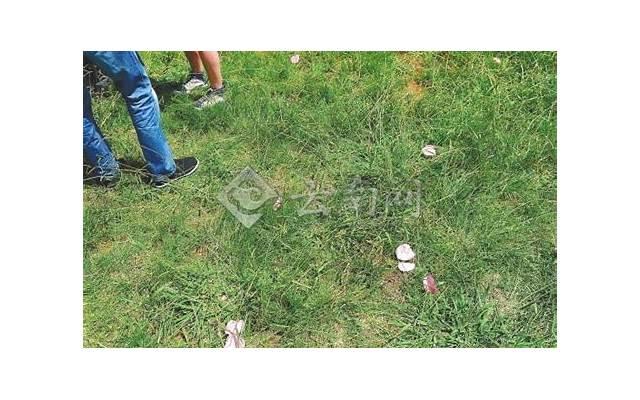 让女生快速爱上你的方法