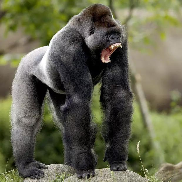 发生地震前都会有哪些征兆（这才是地震前的征兆）(13)