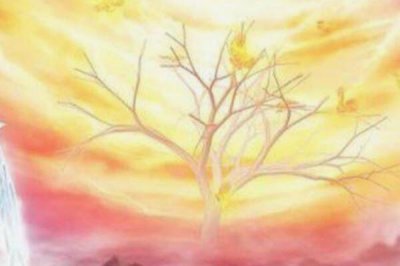 ​山海经帝休树是什么：吃过帝休树的人可长生不老（传说）