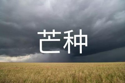 ​芒种下雨的谚语（民间芒种下雨有什么说法）