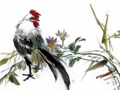 ​1993年属鸡人一生命运