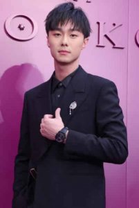 施柏宇（中国台湾影视男演员）