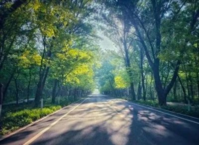 ​退休后最好的活法，不是跳舞、聚会、串门，而是享受3种独处方式