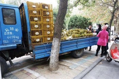 ​“卡车水果”猫腻多，买好买坏看运气