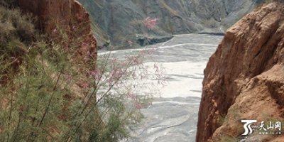 ​深入安集海大峡谷 一览鬼斧神工之美