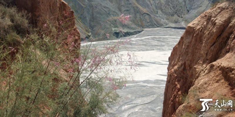 深入安集海大峡谷 一览鬼斧神工之美