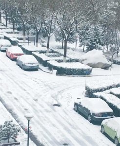 ​实拍西安鹅毛大雪