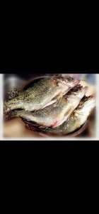 ​中华美食文化，红烧臭鳜鱼，闻起来臭，吃起来香！