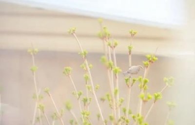​智能手机待机时间最长的是哪一款 智能手机待机时间多长