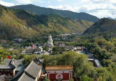 ​全球五大佛教圣地，排名第一的在中国，三个在印度