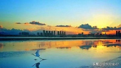 ​瓯江的源头在哪里？