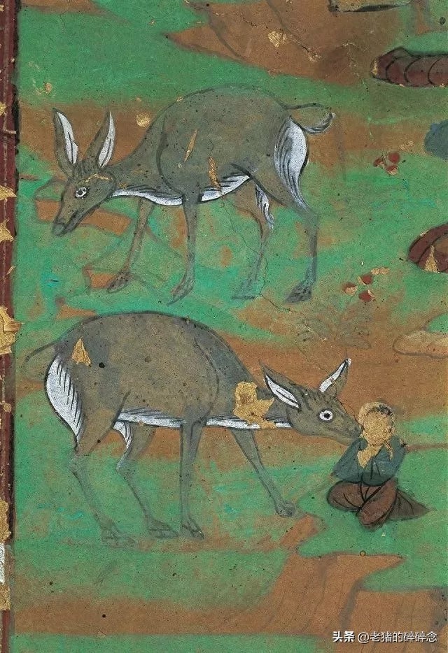 享誉世界的民族文化遗产,敦煌莫高窟壁画上的动物们